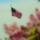 Illustration for article titled 13 Photos Of Memorial Day